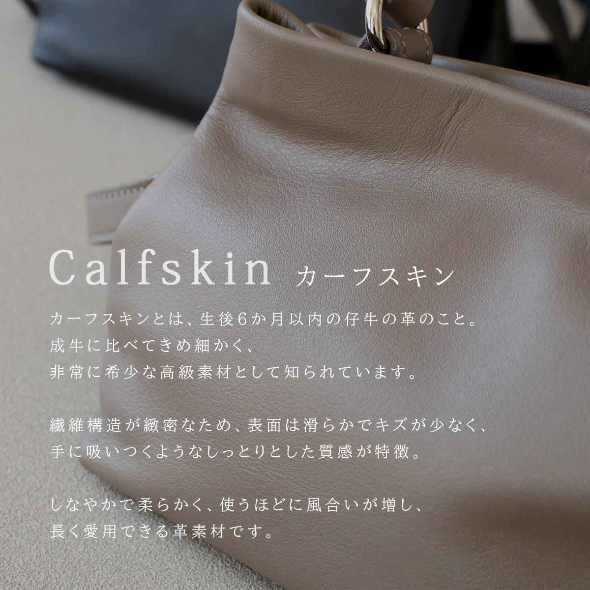 【本革】カーフスキン2WAYミニバッグ lbw016