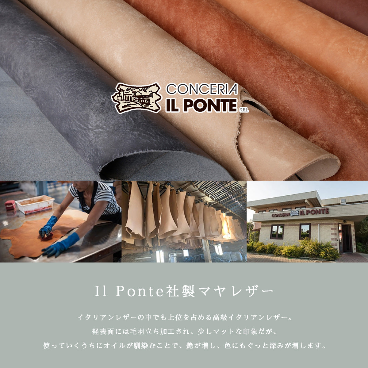Charis Poche【本革】ペンホルダー ot044