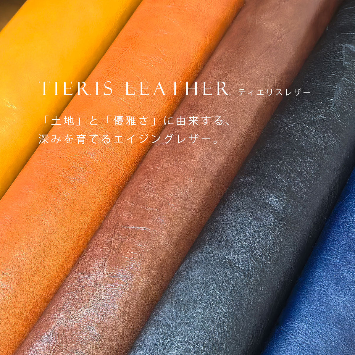 Charis Poche【本革】ダブルファスナー スマートキーケース　ab-kp504