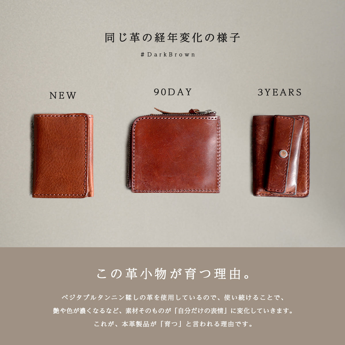 【本革】小さい財布 イタリアンレザー ミッスーリ Ver  lw274